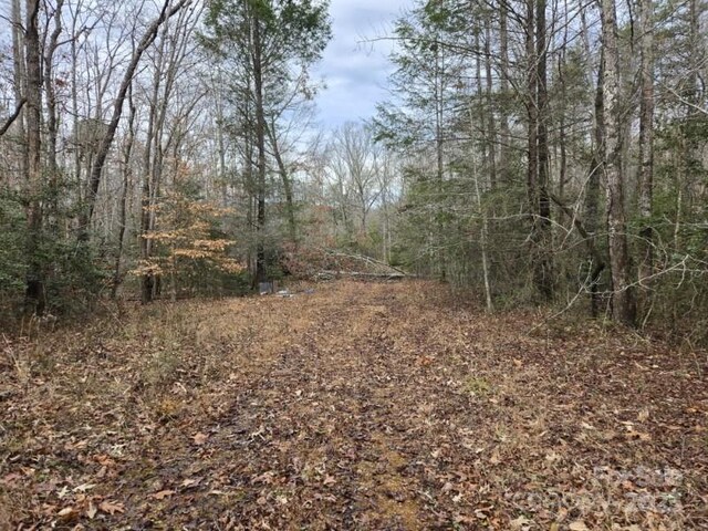 567 Drucilla Church Rd, Nebo, NC 28761