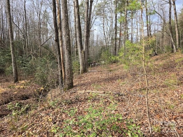 567 Drucilla Church Rd, Nebo, NC 28761