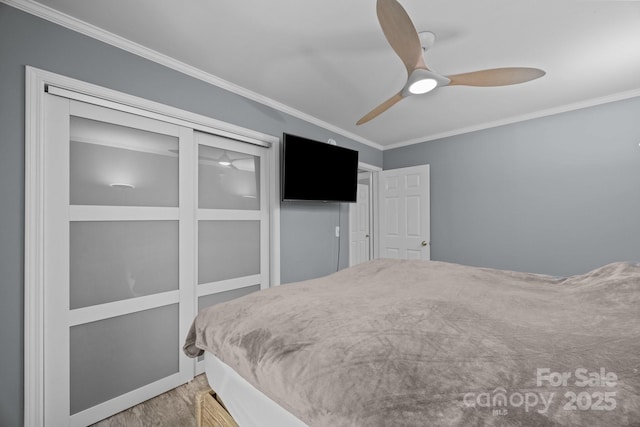 215 Calm Creek Rd, Fletcher, NC 28732 - bedroom with crown molding, wood finished floors, and a ceiling fan
