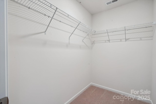 walk in closet featuring carpet and visible vents