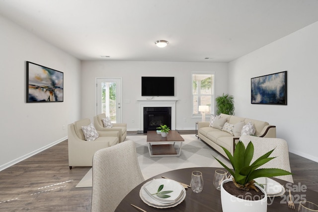 4527 Dover Ct, Denver, NC 28037 - living area with a glass covered fireplace, baseboards, wood finished floors, and a wealth of natural light