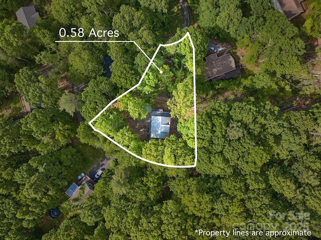 14 Leisure Ln, Weaverville, NC 28787 - aerial view of property and surrounding area with property parcel outlined