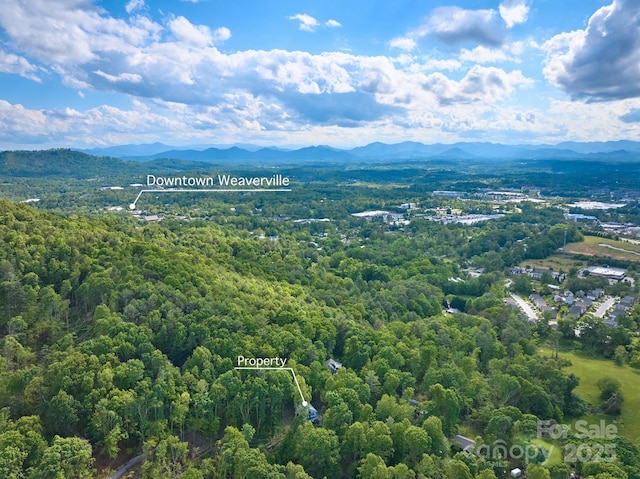 14 Leisure Ln, Weaverville, NC 28787 - drone / aerial view of a mountain backdrop and a forest