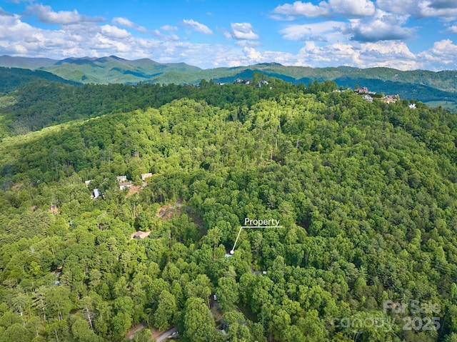 14 Leisure Ln, Weaverville, NC 28787 - bird's eye view of mountains