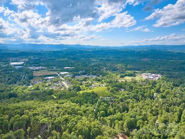 14 Leisure Ln, Weaverville, NC 28787 - aerial view of a mountain backdrop