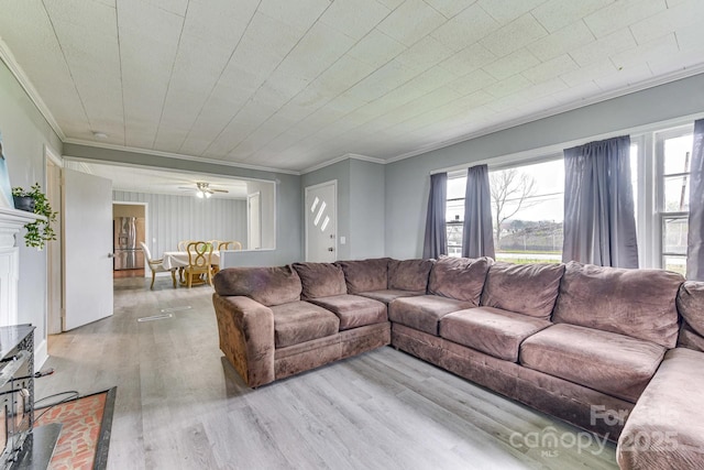 6323 Wilora Lake Rd, Charlotte, NC 28212 - living room featuring crown molding, a wealth of natural light, and wood finished floors