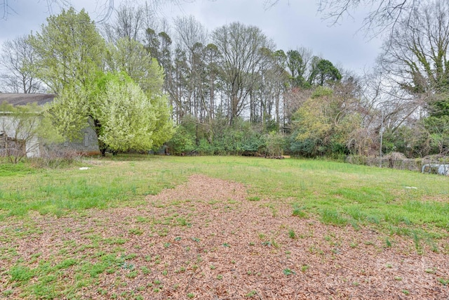6323 Wilora Lake Rd, Charlotte, NC 28212 - view of yard
