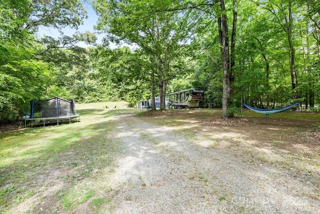 view of grassy yard with a trampoline and a view of trees