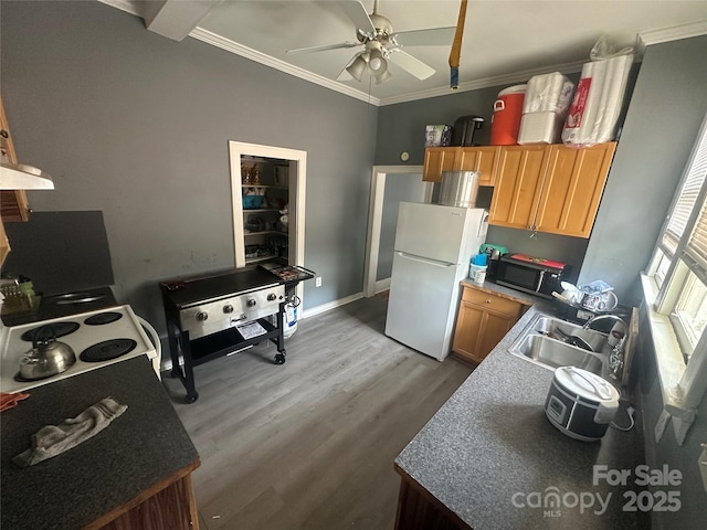 2511 Chapel Hill Rd, Durham, NC 27707 - kitchen with crown molding, freestanding refrigerator, a ceiling fan, stainless steel microwave, and a sink
