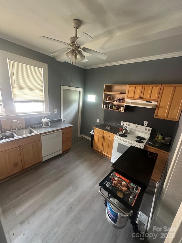 2511 Chapel Hill Rd, Durham, NC 27707 - kitchen with a sink, light wood-style floors, white appliances, a ceiling fan, and under cabinet range hood