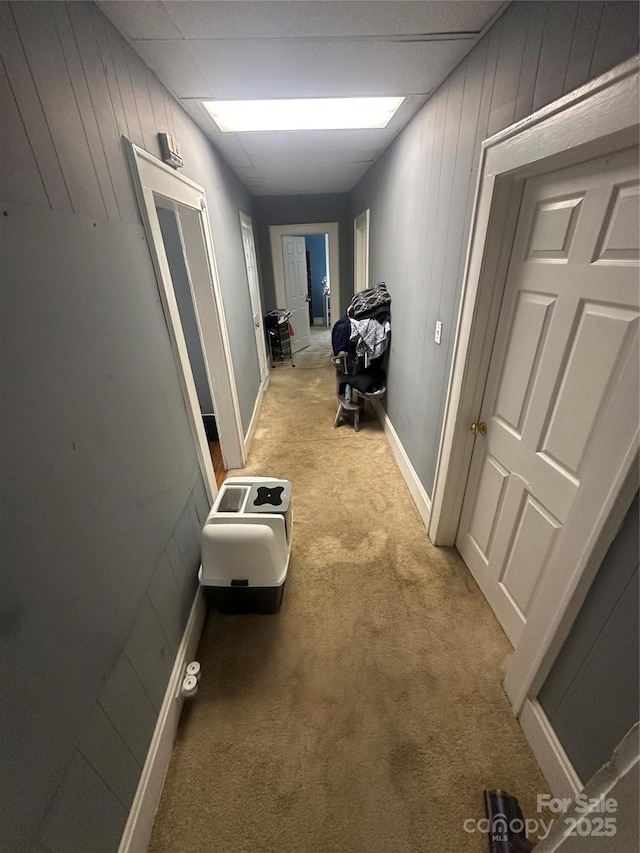 2511 Chapel Hill Rd, Durham, NC 27707 - corridor with light colored carpet, wood walls, and baseboards