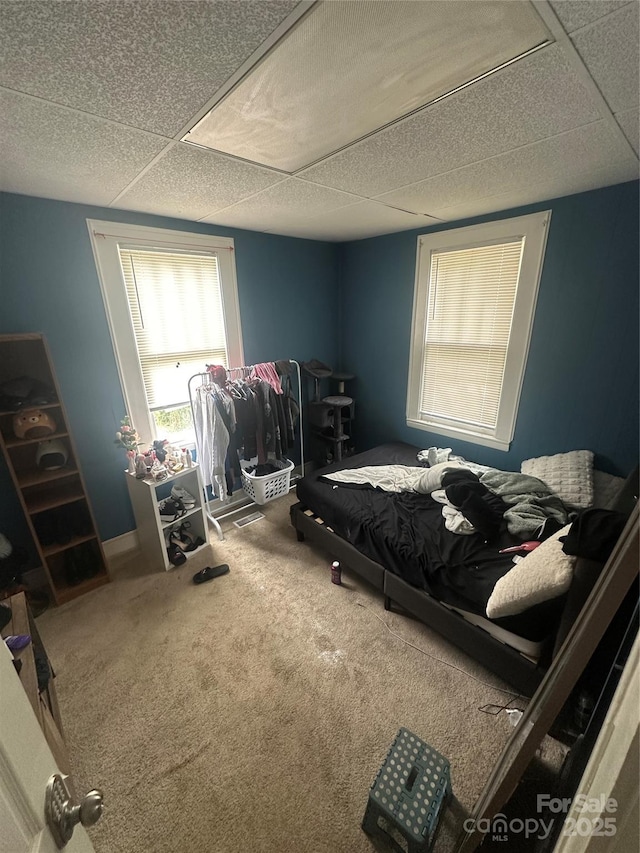 2511 Chapel Hill Rd, Durham, NC 27707 - bedroom featuring carpet and a drop ceiling