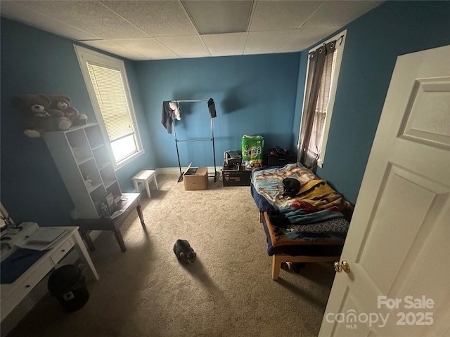 2511 Chapel Hill Rd, Durham, NC 27707 - interior space featuring carpet floors, baseboards, and a drop ceiling