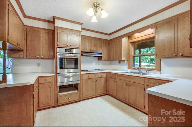 993 Jackson Rd, Fort Lawn, SC 29714 - kitchen with a textured ceiling, stainless steel oven, a sink, crown molding, and a warming drawer