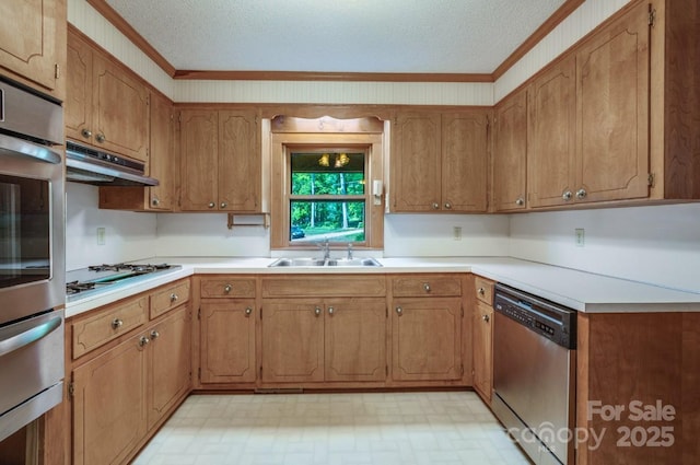 993 Jackson Rd, Fort Lawn, SC 29714 - kitchen with under cabinet range hood, stainless steel appliances, ornamental molding, and a sink