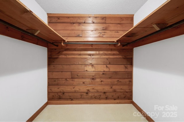 993 Jackson Rd, Fort Lawn, SC 29714 - view of spacious closet