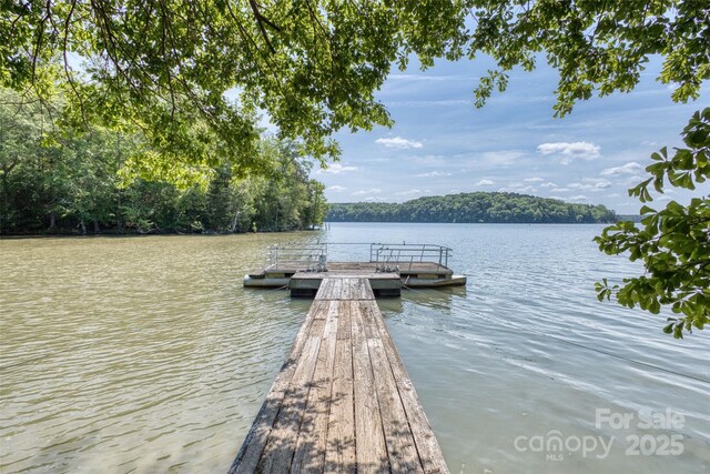 993 Jackson Rd, Fort Lawn, SC 29714 - view of dock with a water view and a view of trees