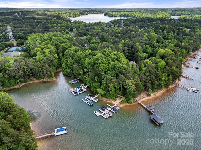 221 Silvercliff Dr, Mount Holly, NC 28120 - photo 42