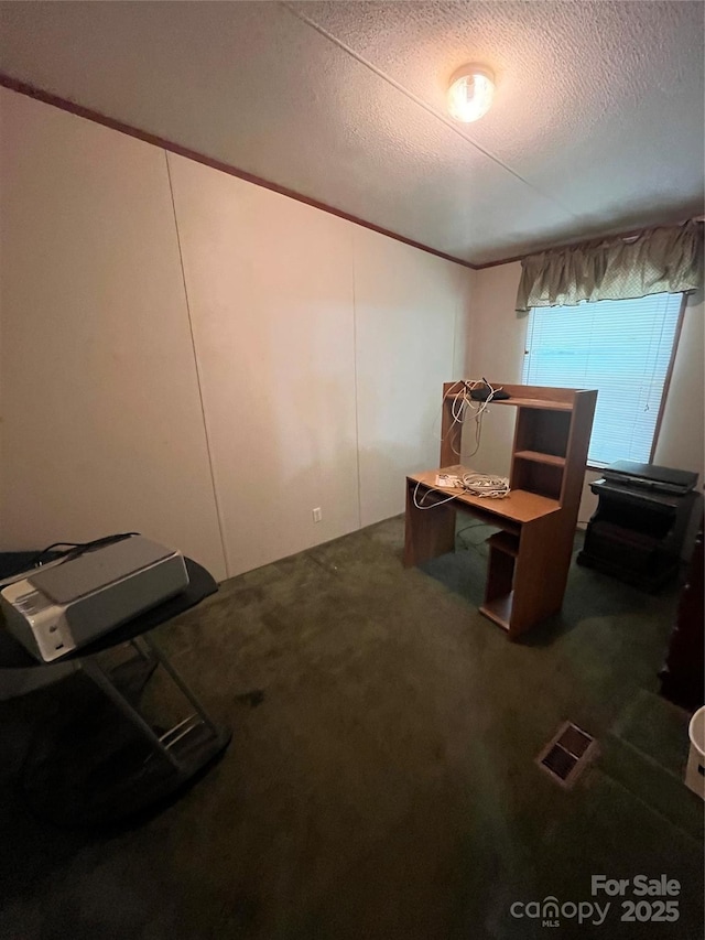 515 Willow St, Lincolnton, NC 28092 - unfurnished bedroom with carpet floors, a textured ceiling, and visible vents