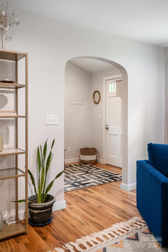 9 Von Ruck Ter, Asheville, NC 28801 - photo 14