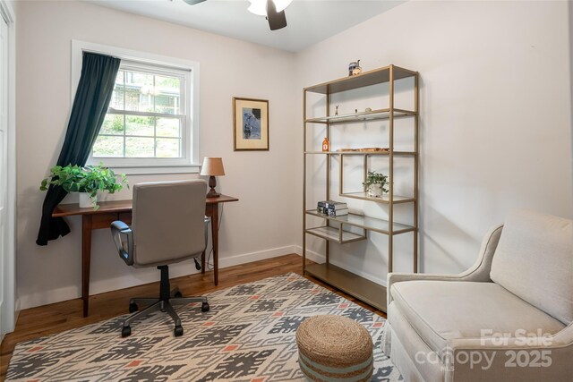 9 Von Ruck Ter, Asheville, NC 28801 - photo 27