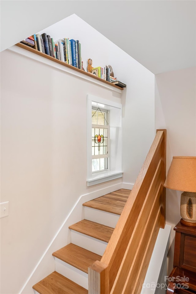 9 Von Ruck Ter, Asheville, NC 28801 - photo 28