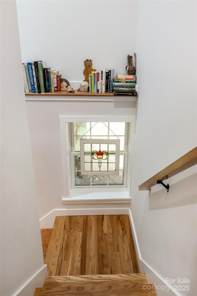 9 Von Ruck Ter, Asheville, NC 28801 - photo 29
