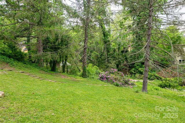 9 Von Ruck Ter, Asheville, NC 28801 - photo 48