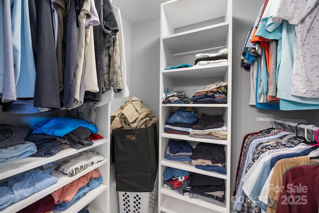 17403 Green Hill Rd, Charlotte, NC 28278 - view of walk in closet