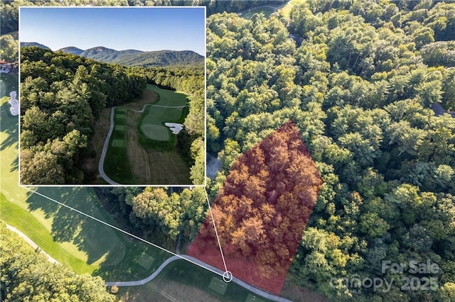 J29 Cherokee Trce, Lake Toxaway, NC 28747
