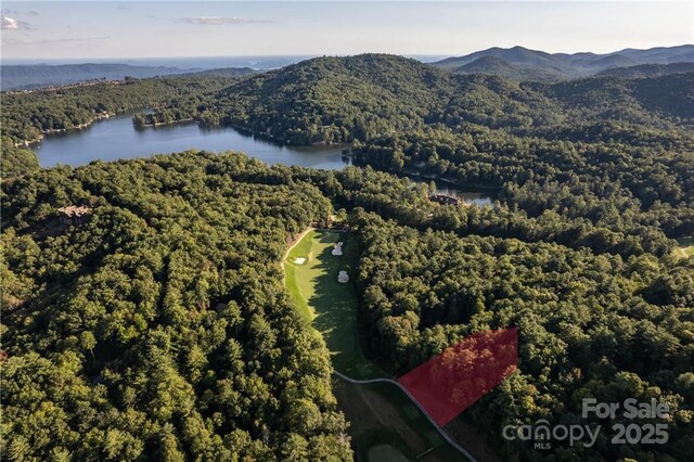 J29 Cherokee Trce, Lake Toxaway, NC 28747