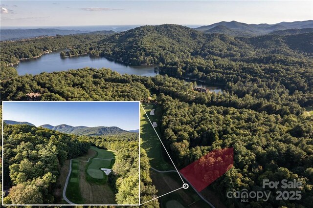 J29 Cherokee Trce, Lake Toxaway, NC 28747