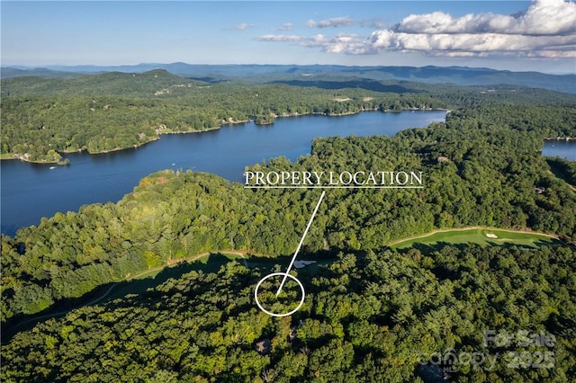 J29 Cherokee Trce, Lake Toxaway, NC 28747
