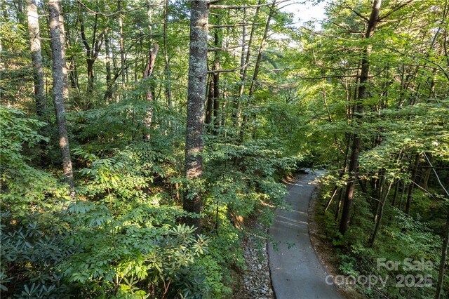 J29 Cherokee Trce, Lake Toxaway, NC 28747