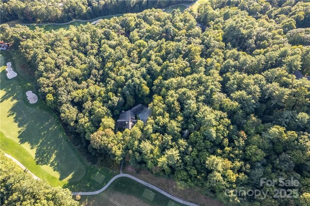 J29 Cherokee Trce, Lake Toxaway, NC 28747