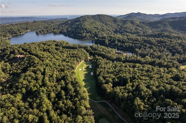 J29 Cherokee Trce, Lake Toxaway, NC 28747