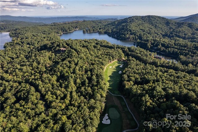 J29 Cherokee Trce, Lake Toxaway, NC 28747