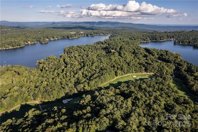 J29 Cherokee Trce, Lake Toxaway, NC 28747