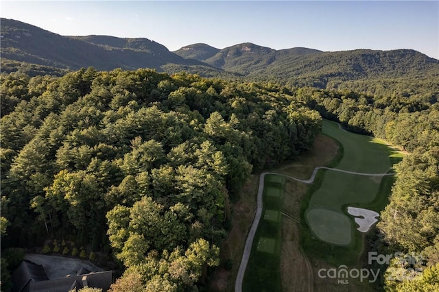 J29 Cherokee Trce, Lake Toxaway, NC 28747