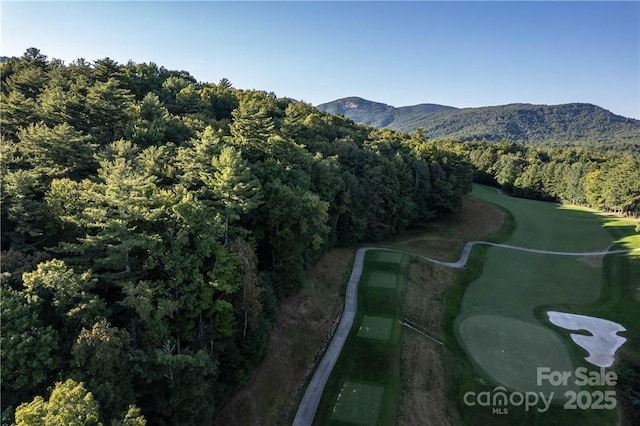 J29 Cherokee Trce, Lake Toxaway, NC 28747
