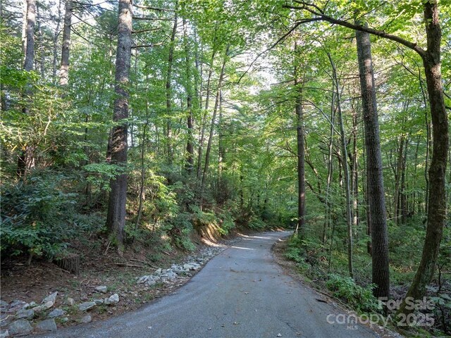 J29 Cherokee Trce, Lake Toxaway, NC 28747