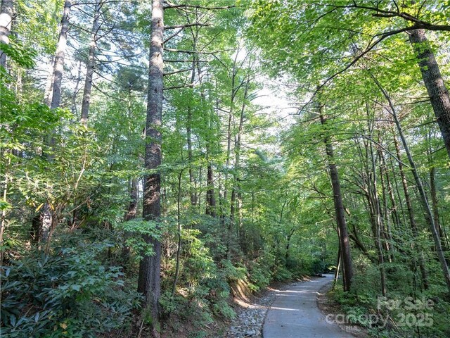J29 Cherokee Trce, Lake Toxaway, NC 28747