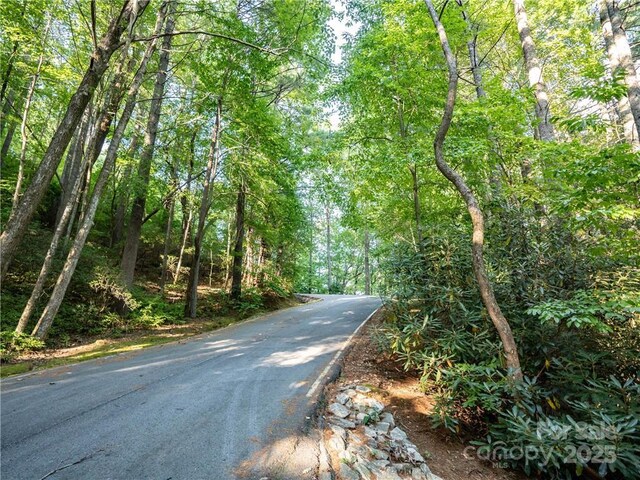 J29 Cherokee Trce, Lake Toxaway, NC 28747