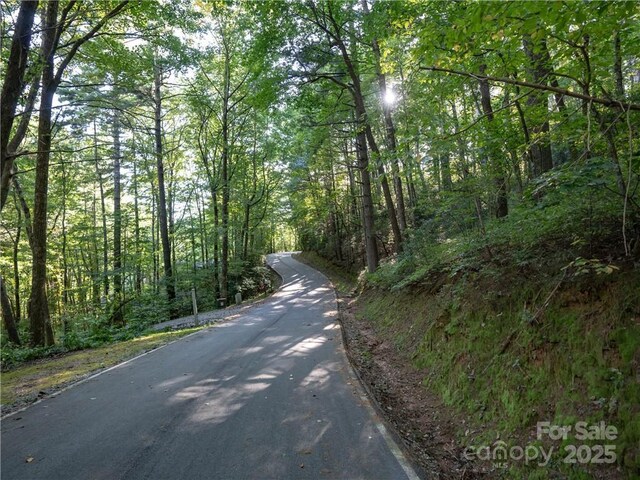 J29 Cherokee Trce, Lake Toxaway, NC 28747