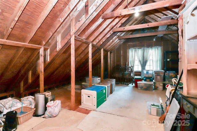 10209 Thomas Payne Cir, Charlotte, NC 28277 - view of attic