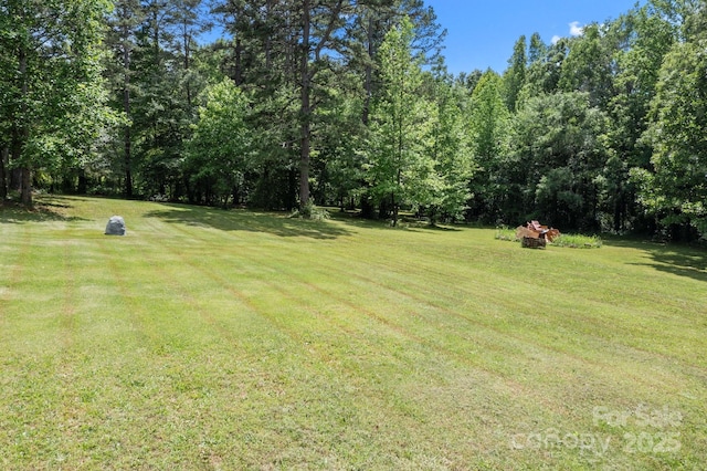 view of green lawn