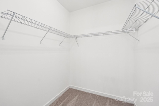 5745 Snapdragon Ln, Huntersville, NC 28078 - spacious closet featuring carpet floors