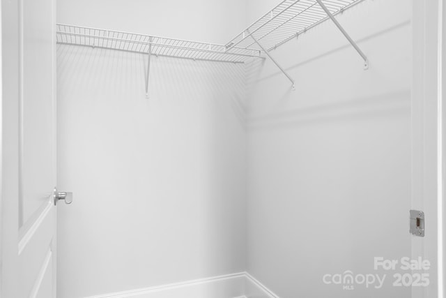 view of walk in closet