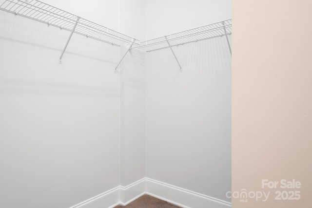 2338 Yadkin Ave Unit 101, Charlotte, NC 28205 - walk in closet featuring dark colored carpet