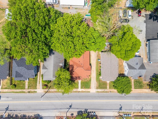 bird's eye view